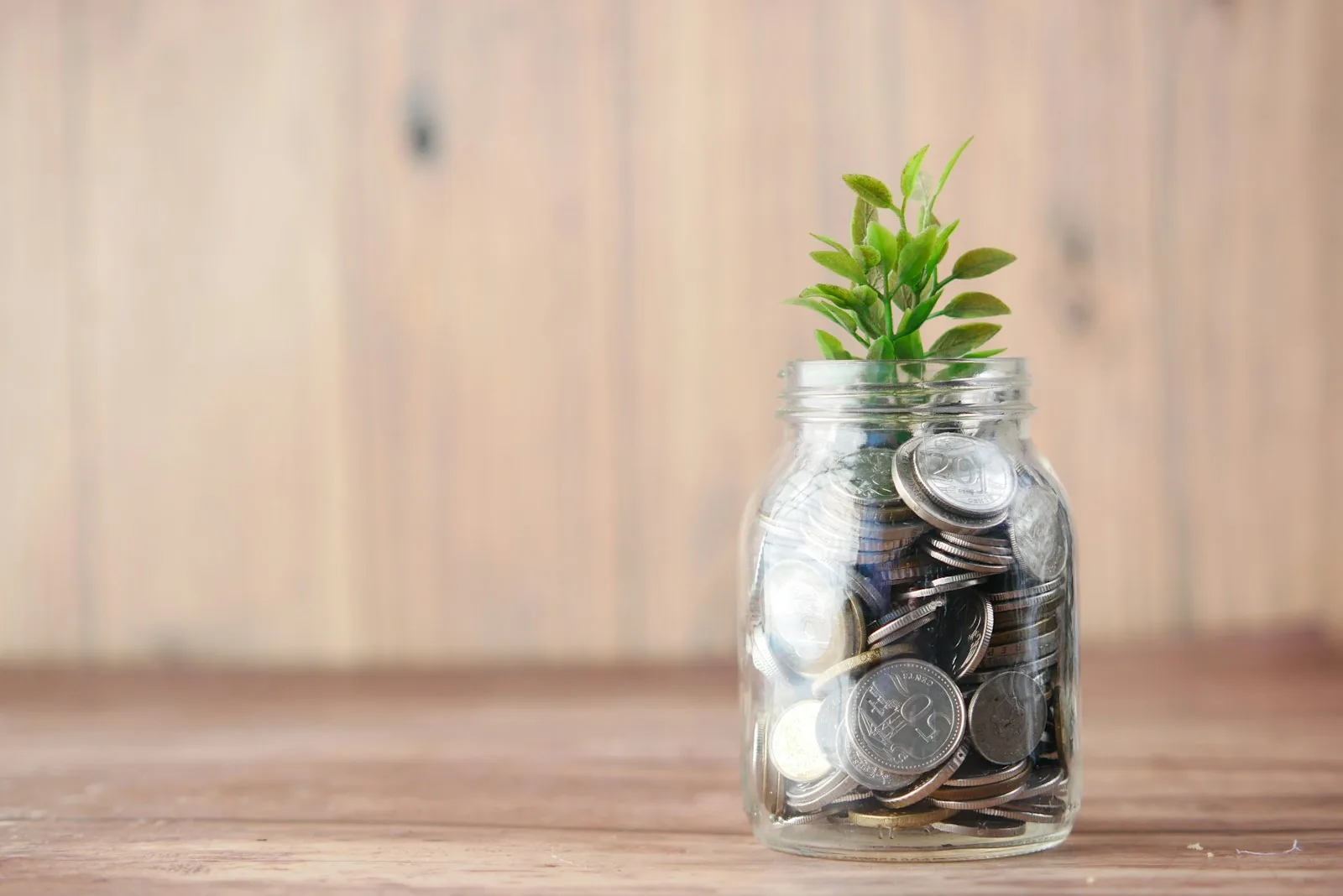 emergency fund cash savings account