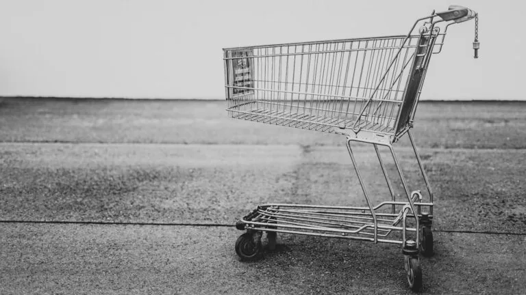 grocery shopping cart checkout