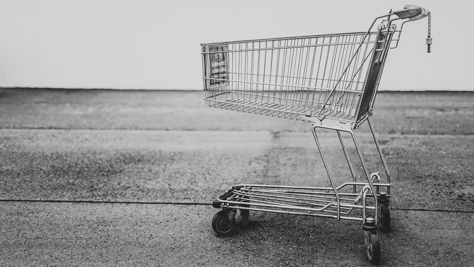 grocery shopping cart checkout