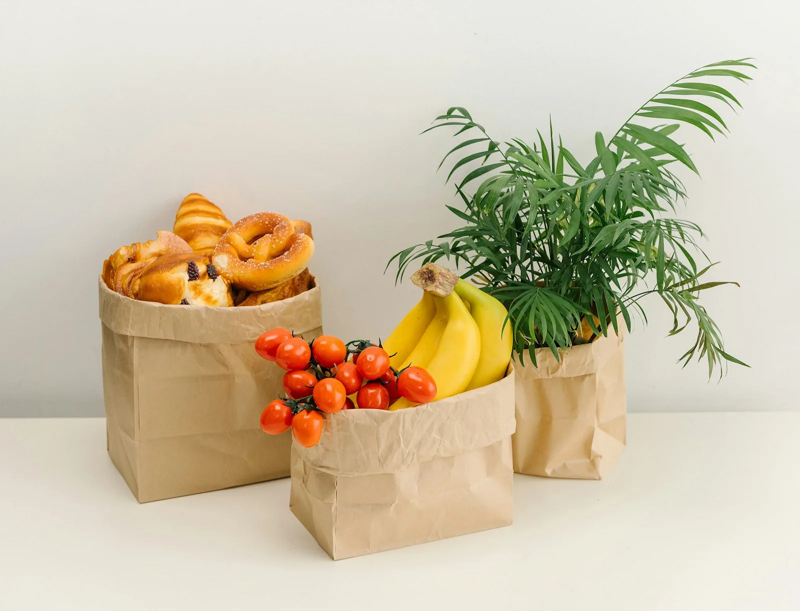 grocery shopping delivery convenience