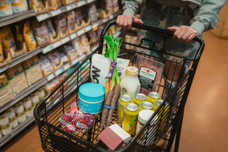 grocery store checkout SNAP benefits