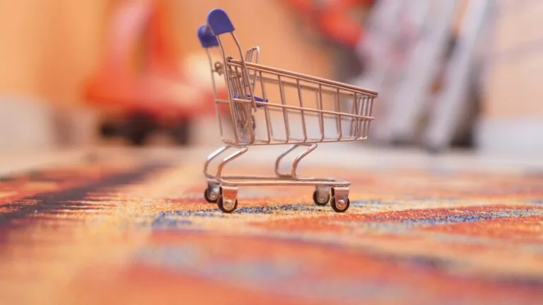 online shopping cart holiday season