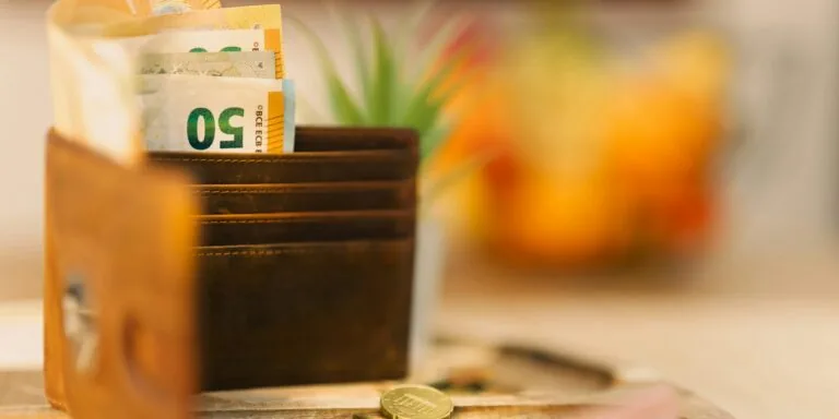 person grocery shopping budget wallet