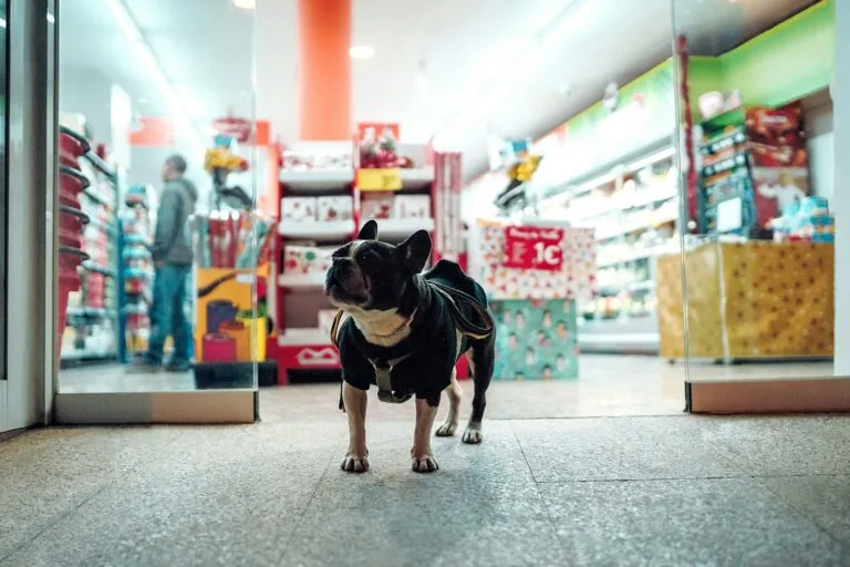 pet owner shopping supplies online