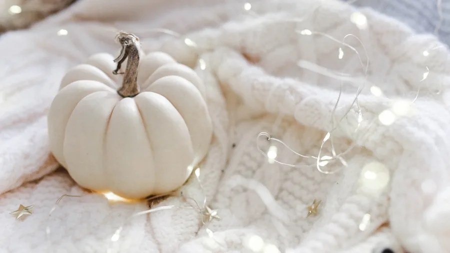 pumpkin decor autumn home styling