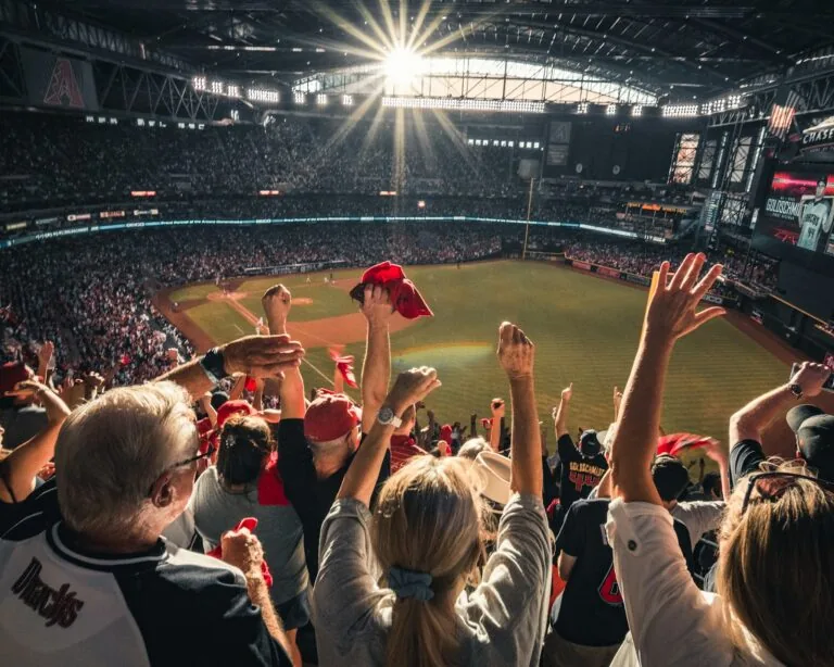 sports fan shopping online