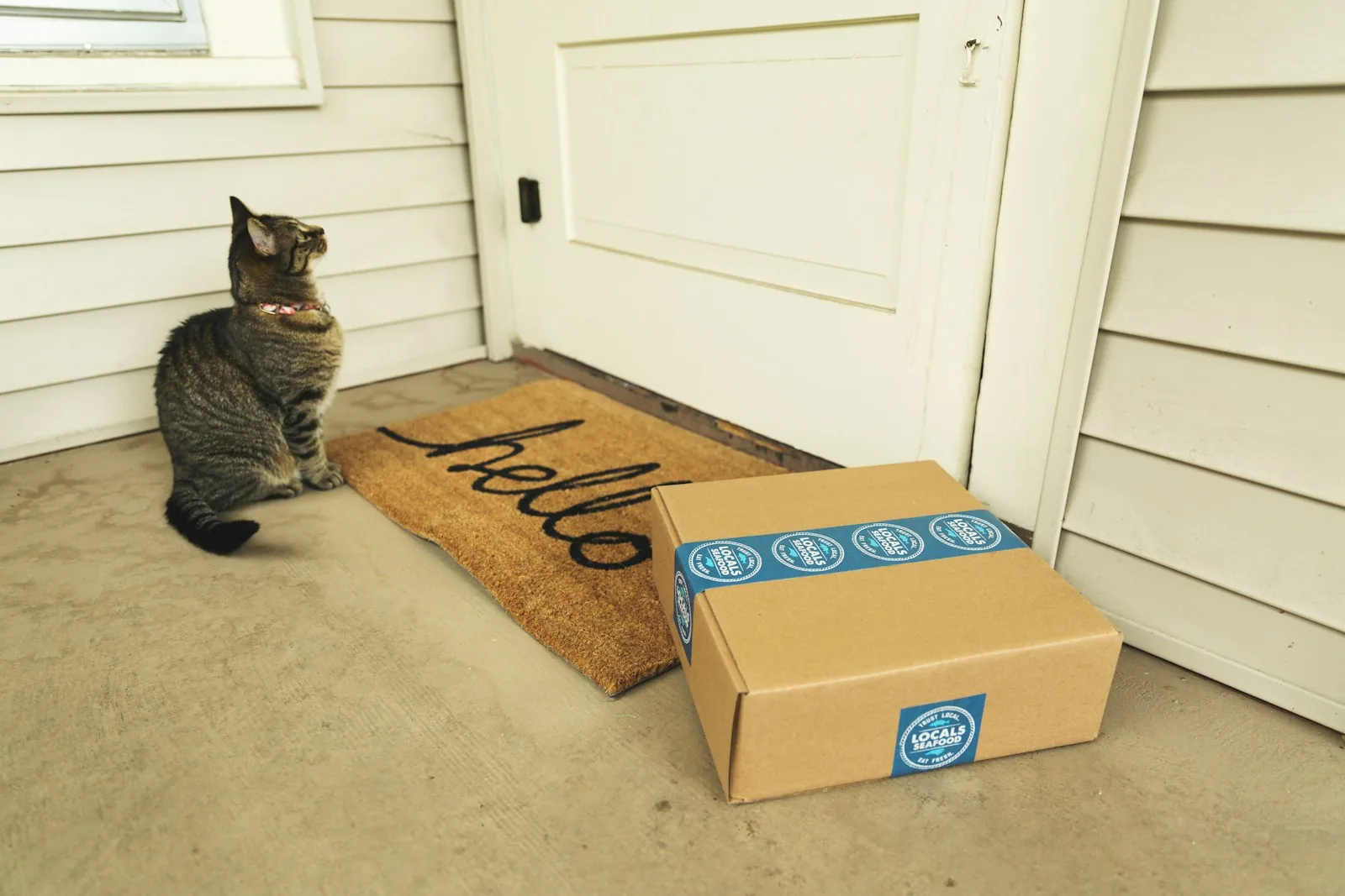 subscription delivery pet products